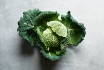 A savoy cabbage on a grey surface — Stock Photo