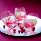 Wine and cranberries cocktails on metal tray — Stock Photo