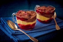Schichtige Schokolade, Mango und Kirschen Desserts — Stockfoto