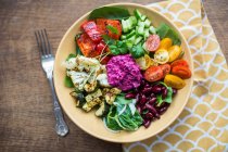 Ciotola di insalata con verdure arrosto al forno, fagioli e hummus di barbabietole — Foto stock
