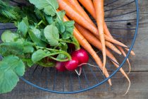 Spring Radishes and Carrots in Wire Basket on Wood — Stock Photo