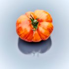 Cebolla roja madura fresca sobre un fondo blanco - foto de stock