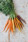 A bunch of fresh colorful carrots on a white wooden background (top view) — Stock Photo