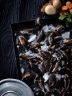 Fresh mussels on ice — Stock Photo