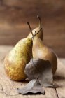 Три органічні конференції груші з листям — стокове фото