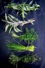 Bunches Fresh Herbs close-up view — Stock Photo