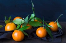 Clementines with leaves close-up view — Stock Photo