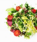 Uma salada mista com ervas, brotos e sementes — Fotografia de Stock