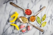 An arrangement of lemon zest, garlic, bay leaves, fennel seeds, red peppercorns and chilli peppers — Stock Photo