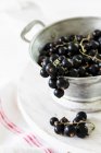 Blackcurrants in a colander — Stock Photo