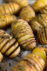 Roasted hasselback potatoes  a simple barbecue side dish — Stock Photo