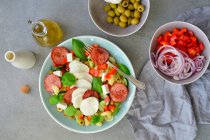 Nudelsalat nach italienischem Vorbild mit Olivenöl, Basilikum, Mozzarella und Oliven — Stockfoto
