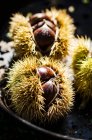 Chesnuts in a copper skillet — Stock Photo