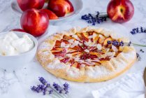 Nectarine and cream cheese galette with lavender — Stock Photo