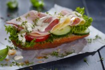 Ein Sandwich mit Schinken, Käse, Mayonnaise und Kresse — Stockfoto