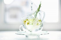 Heißes Wasser wird über frische Kamillenblüten in zwei übereinander gestapelten Glasbechern gegossen — Stockfoto