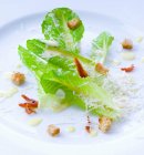 Cäsar-Salat (Großaufnahme)) — Stockfoto