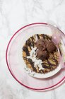 Un grande biscotto al cocco con gelato al cioccolato — Foto stock