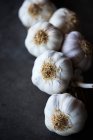 Braid of garlic close-up view — Stock Photo