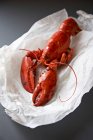 A whole cooked lobster on white paper — Stock Photo