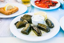 Dolmades greco servito con salsa tzatziki — Foto stock