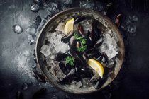 Raw mussels with parsley and lemon on ice — Stock Photo