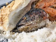 Trucha de salmón en corteza de sal - foto de stock