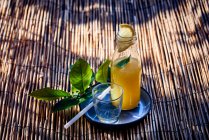 Бутылка апельсинового и лимонного сока — стоковое фото