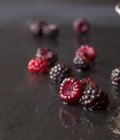 Freshly Picked Wild Raspberries on Slate — Stock Photo