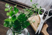 Ervas frescas: tomilho e salsa em jarra de vidro e tesoura no fundo — Fotografia de Stock