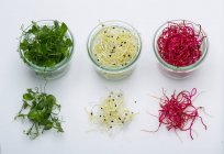 Trois variétés de germes dans des verres et sur une surface blanche — Photo de stock