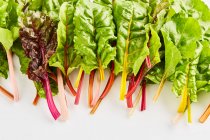 Colourful stemmed chard close-up view — Stock Photo