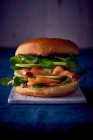 A smoked salmon, apple and lambs lettuce burger — Stock Photo
