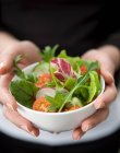 Hände halten eine kleine weiße Kugel mit gemischtem Salat — Stockfoto