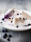 Coconut and blueberry ice cream sticks — Stock Photo