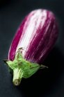 A purple and white aubergine — Stock Photo