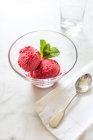 Raspberry sorbet with mint leaves — Stock Photo