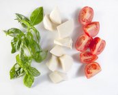 Cuñas de albahaca, mozzarella y tomate (en forma de bandera italiana)) - foto de stock