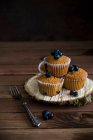 Blaubeer-Muffins auf einer Rindenscheibe — Stockfoto