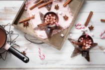 Chocolate caliente de menta con malvaviscos - foto de stock