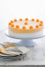 Gelato gâteau garni de boules de melon mielleux sur un stand de gâteau — Photo de stock