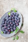 Fresh plums in ceramic plate with leaves — Stock Photo