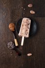 Un helado de chocolate con cacao en polvo y plumas de cacao - foto de stock