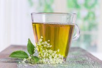 Elderflower tea and fresh elderflowers — Stock Photo