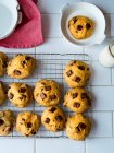 Pumpkin chocolate chunk cookies cooling on wire rack — Stock Photo