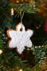 Gingerbread snowflake cookie hanging on a christmas tree — Stock Photo