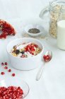 Muesli con latte, avena, cereali, semi di chia, semi di melograno, cocco grattugiato e mirtilli rossi — Foto stock