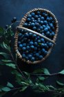 A basket of freshly picked sloe berries (Prunus spinosa) — Stock Photo