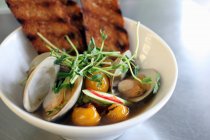 Bowl of clams in broth with roasted cherry tomatoes, cucumbers, red pepper, pea shoots and toast — Stock Photo