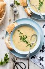 Country Chicken and Vegetable Soup — Stock Photo